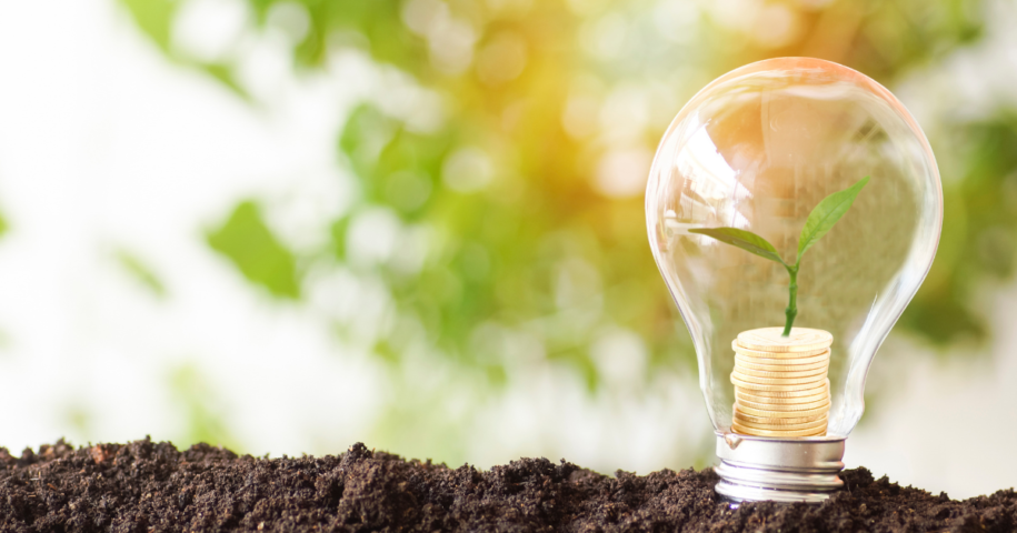 DFDF Blog header image about ESG featuring a light bulb