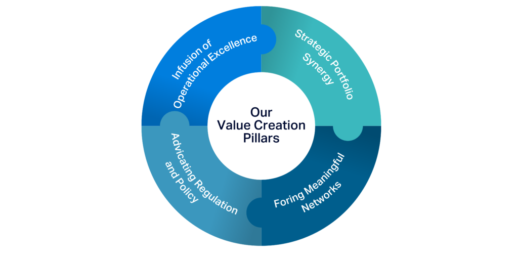 An infographic of DF2's Value Creation Pillars