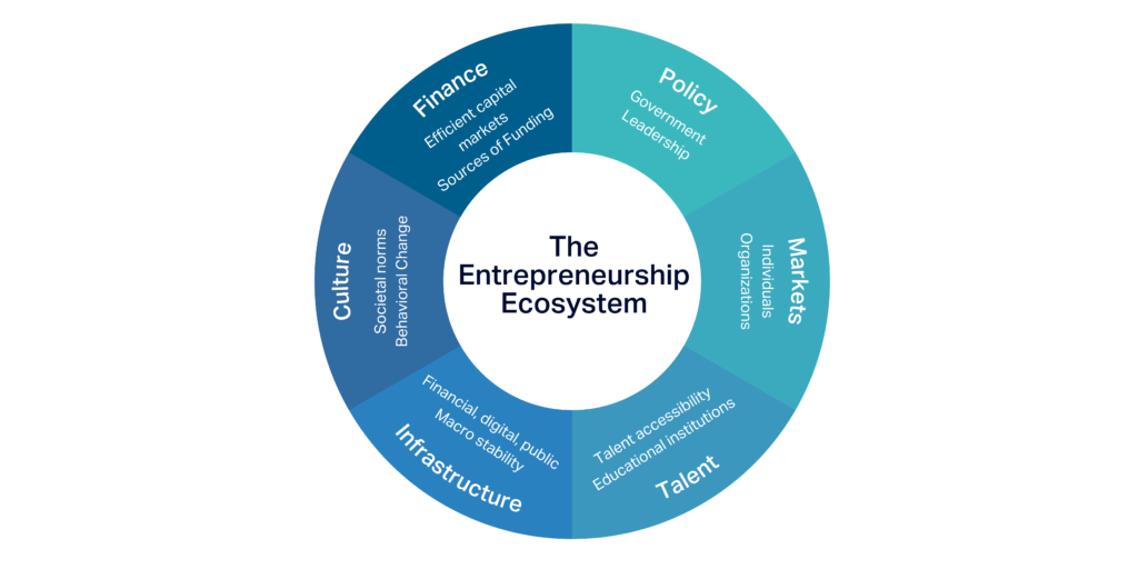 An infographic from a blog post called 'Nurturing Startup Ecosystems: The Vital Symbiosis Between Venture Capital and Innovation'